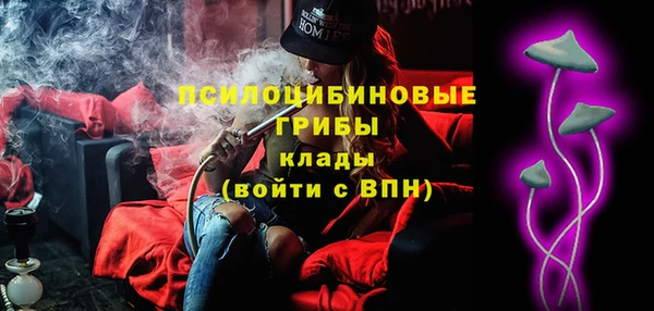 молекула духа Аркадак