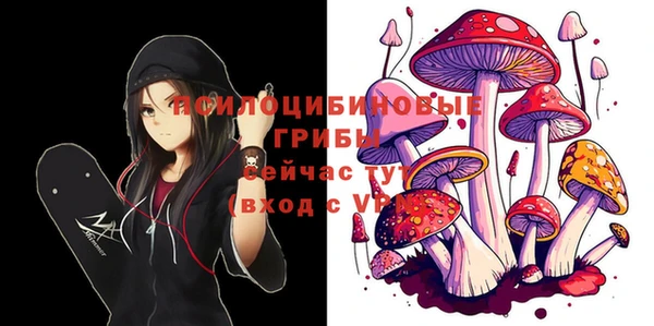 а пвп мука Арсеньев